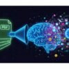 PDF to Brain Rot: What It Means and Why It’s Trending Online