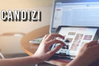 What Is Candizi? A Complete Guide for Beginners