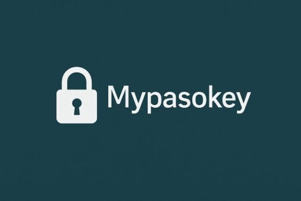 What Is Mypasokey? Complete Guide, Features & How It Works