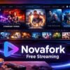 Novafork: Free Streaming, Privacy Risks & How to Stay Safe