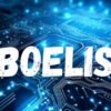 Boelis: Understanding its Meaning, Uses, Benefits, and Future Potential