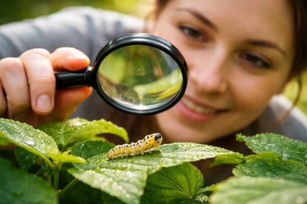 Munchkin Caterpillar: Meaning, Appearance, Habitat, and Fascinating Facts About These Tiny Creatures