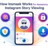 How Insmask Works for Anonymous Instagram Story Viewing
