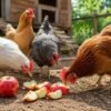 Can Chickens Eat Apples? All You Need To Know